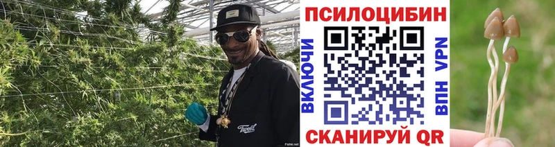 Псилоцибиновые грибы MAGIC MUSHROOMS  Ялта 